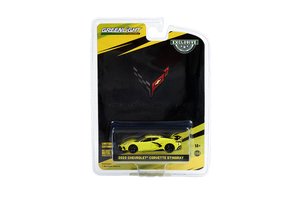 2022 Corvette C8R 2022 IMSA GTLM Championship Edition! 1/64 Diecast!